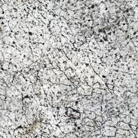 Photo High Resolution Seamless Asphalt Texture 0001